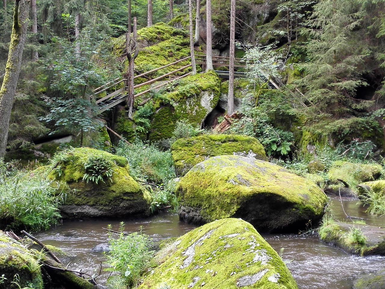 Blick vom Naabtaladweg über die Waldnaab zum Uferweg