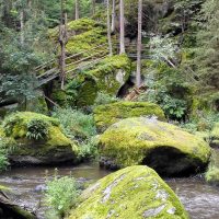 Grünes Paradies Waldnaabtal