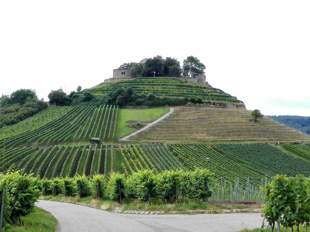 Burg Weinsberg oberhalb des gleichnamigen Ortes