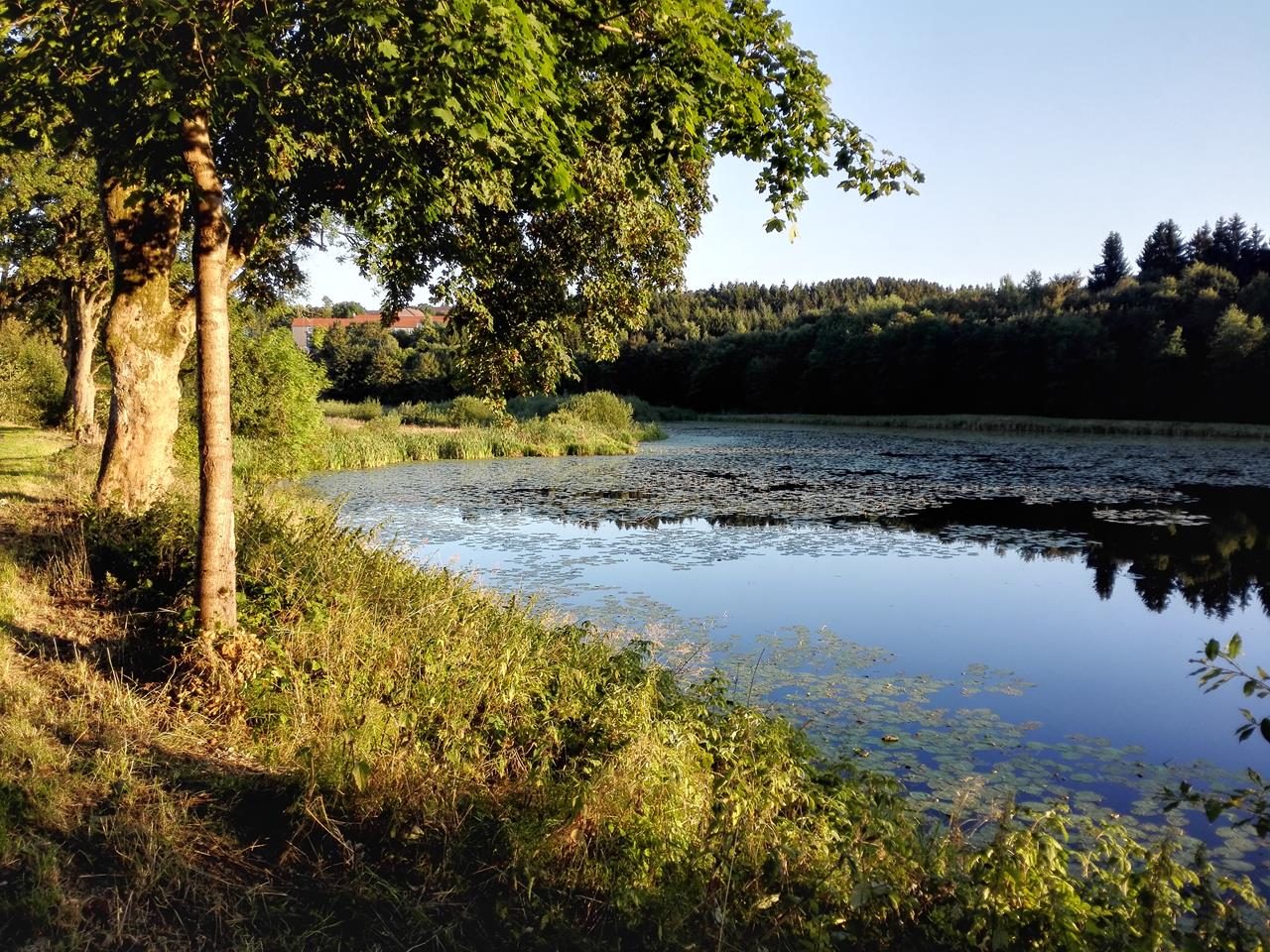 In Clausthal-Zellerfeld gibt es viele Teiche und Wasserflächen