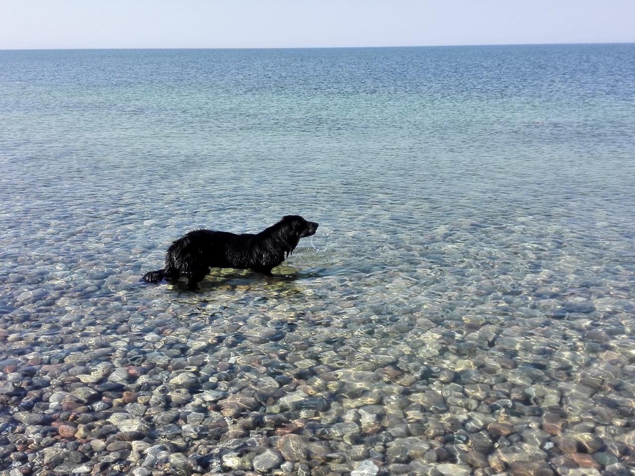 Ein wunderbares Strand und der perfekte Tag, um das Schwimmen zu lernen: Kristallklares Wasser und kein Seegang.