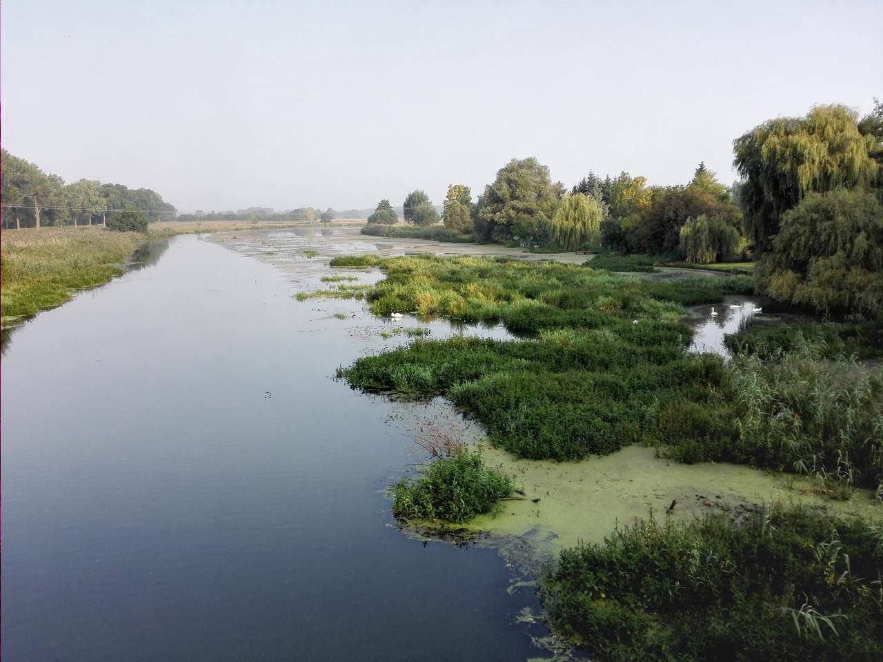 Die XXX ein Seitenkanal der Elbe