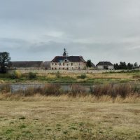 Riesa im Regen