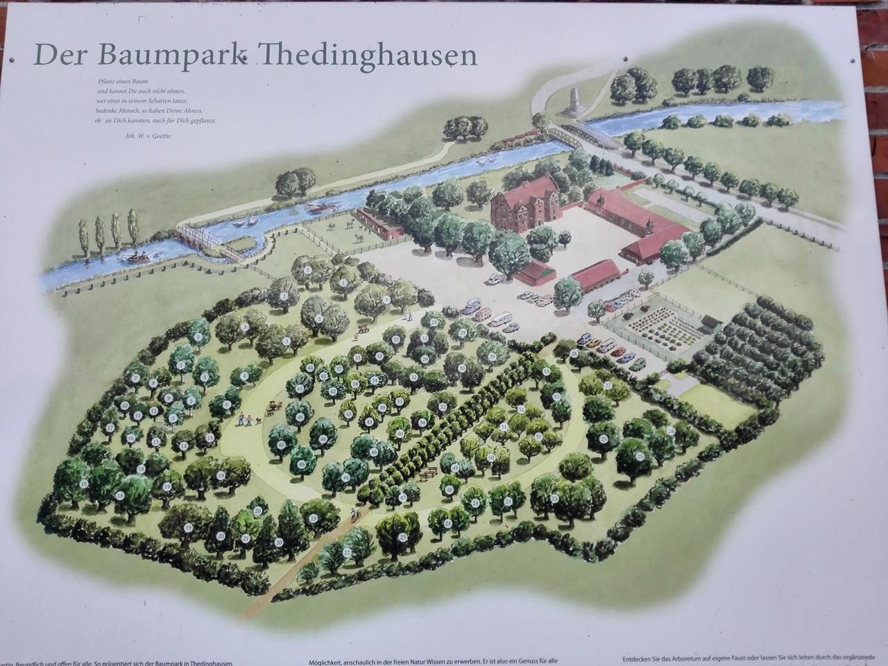 Der Baumpark Thedinghausen
