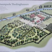 Im Baumpark von Thedinghausen