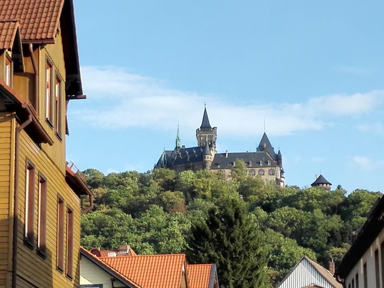 Blick aus der Altstadt hinauf zum Schloss