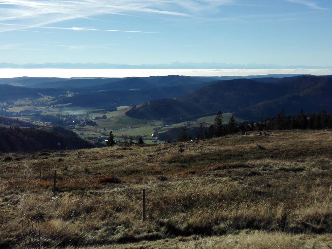 Blick vom Feldberg Richtung Alpen