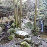 Am Ninglinspo in den Ardennen