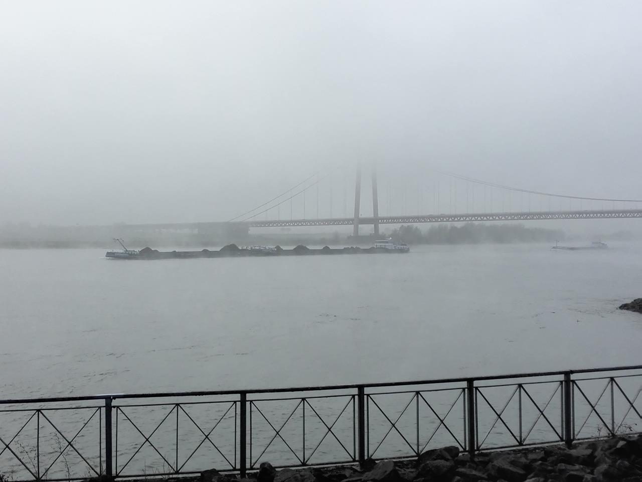 Die Rheinbrücke ist kaum zu sehen, obwohl nur wenige hundert Meter entfernt