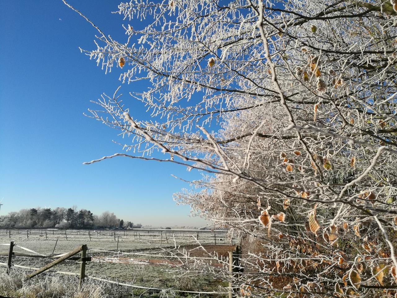 Alle so schön weiß und blau hier