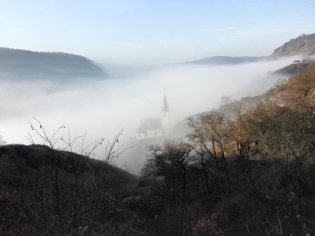 Hatzenport im Nebel