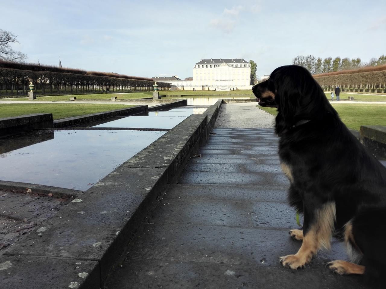 Heiligabend am Brühler Schloss