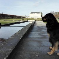 Heiligabend am Brühler Schloss