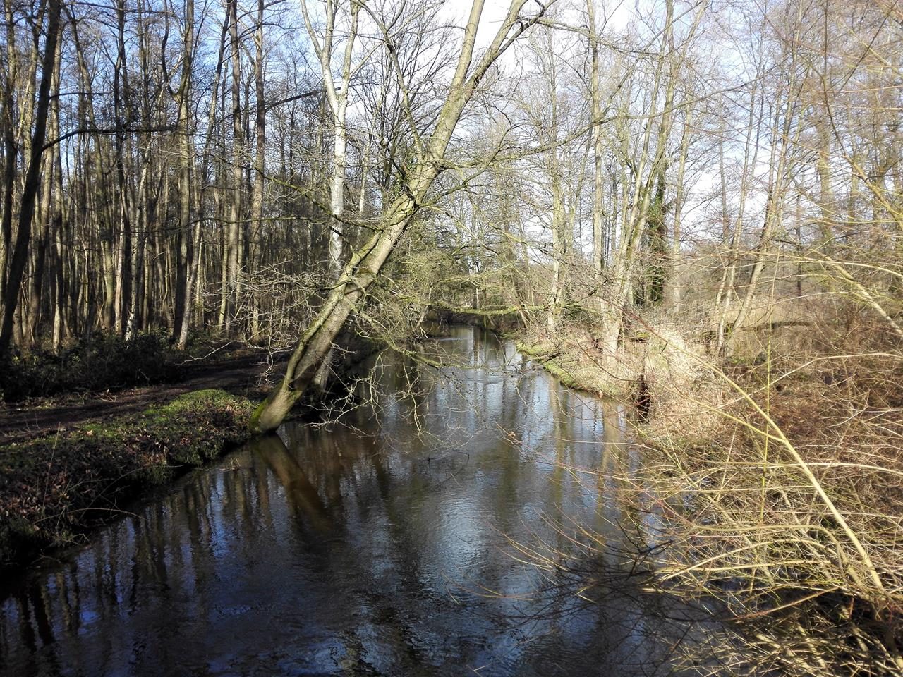 An der Schwalm bei Lüttelforst