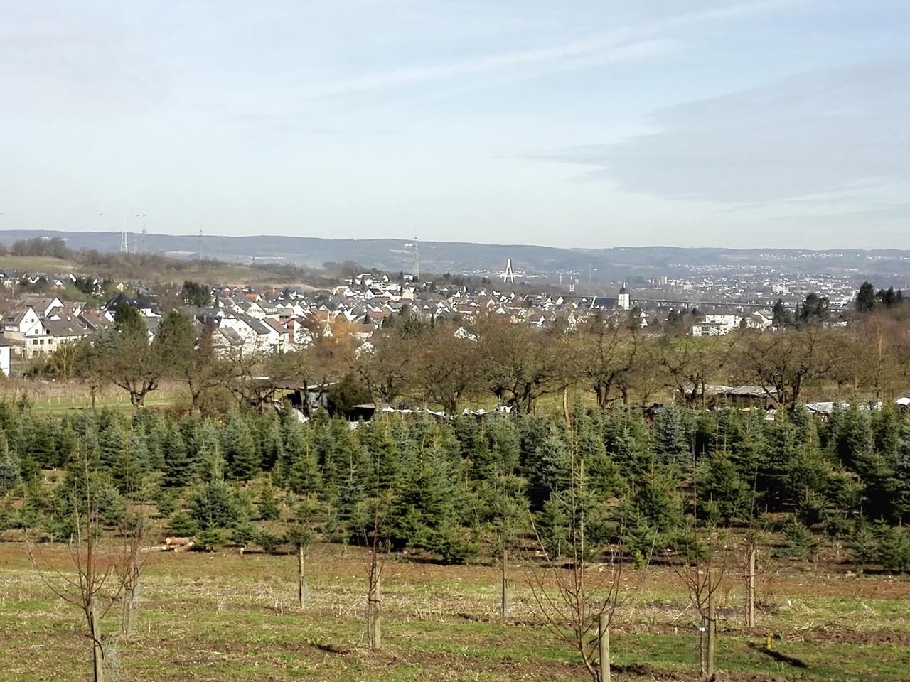 Streuobstweg Mühlheim-Kärlich