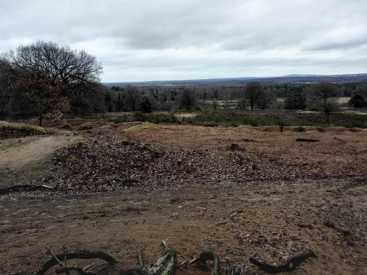 In der Wahner Heide bei Troisdorf