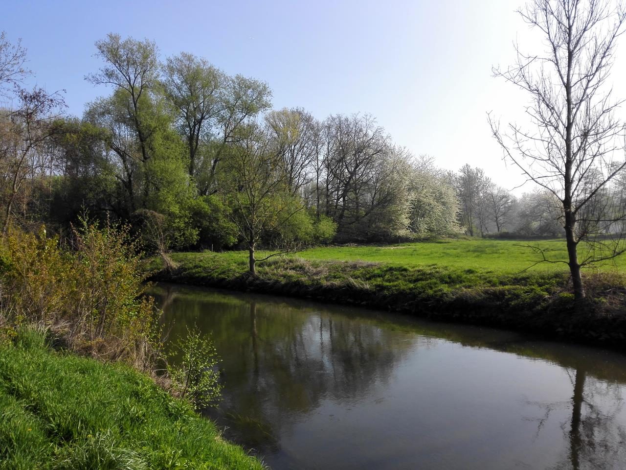 Frühling an der Erft