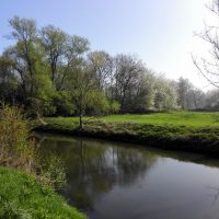 Frühling an der Erft