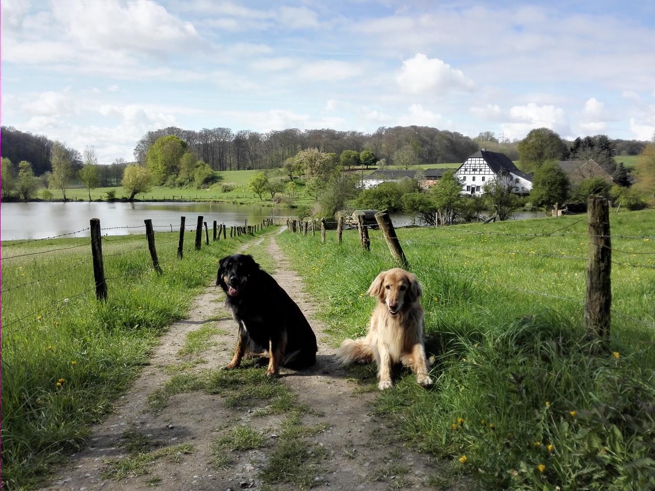 Gerresheim und das Rotthäuser Bachtal