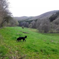 Am Ostersonntag im Höddelbachtal