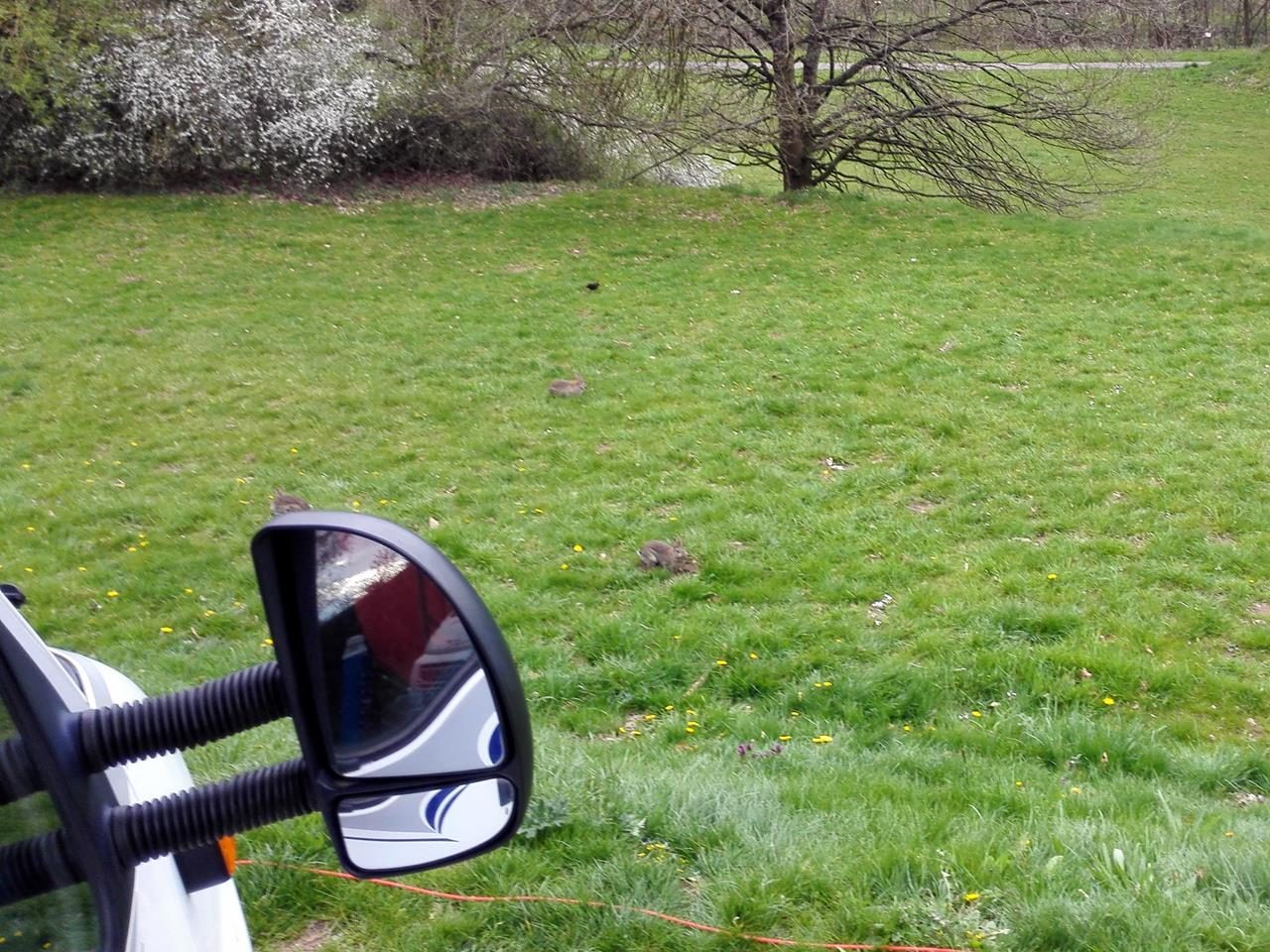 Am Ostersonntag im Höddelbachtal