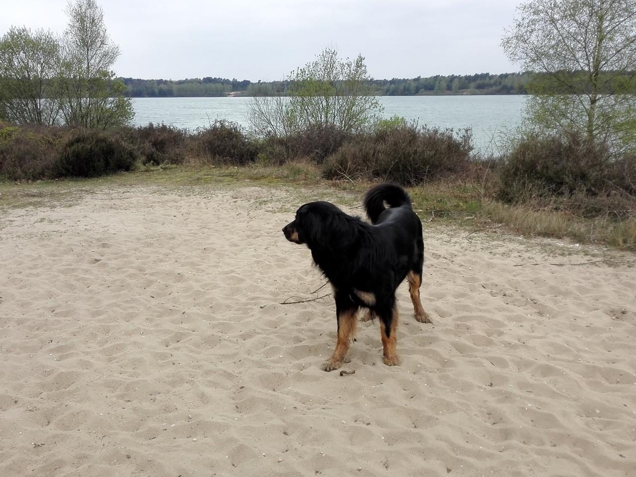 In den Maasdünen bei Weeze