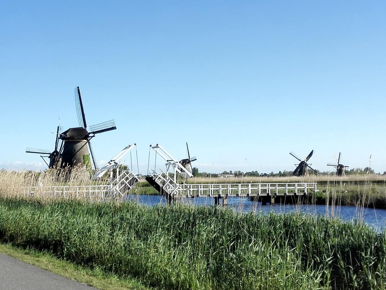 Bei den Windmühlen am Kinderdijk