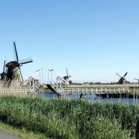 Bei den Windmühlen am Kinderdijk