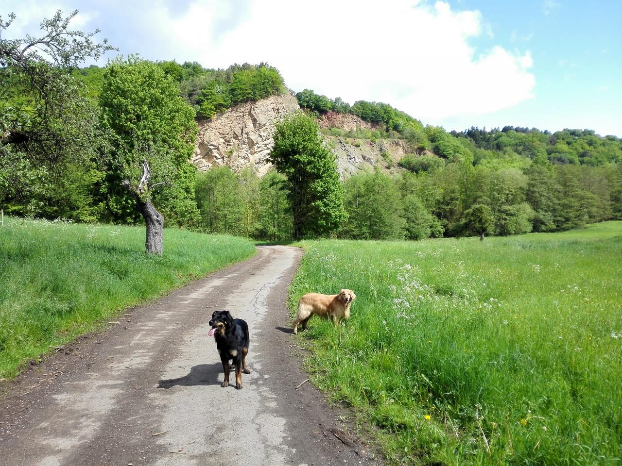 Kalkkuppen im Eschweiler Tal