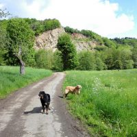 Kalkkuppen im Eschweiler Tal