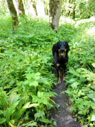 Abenteuertour an der Kupfer