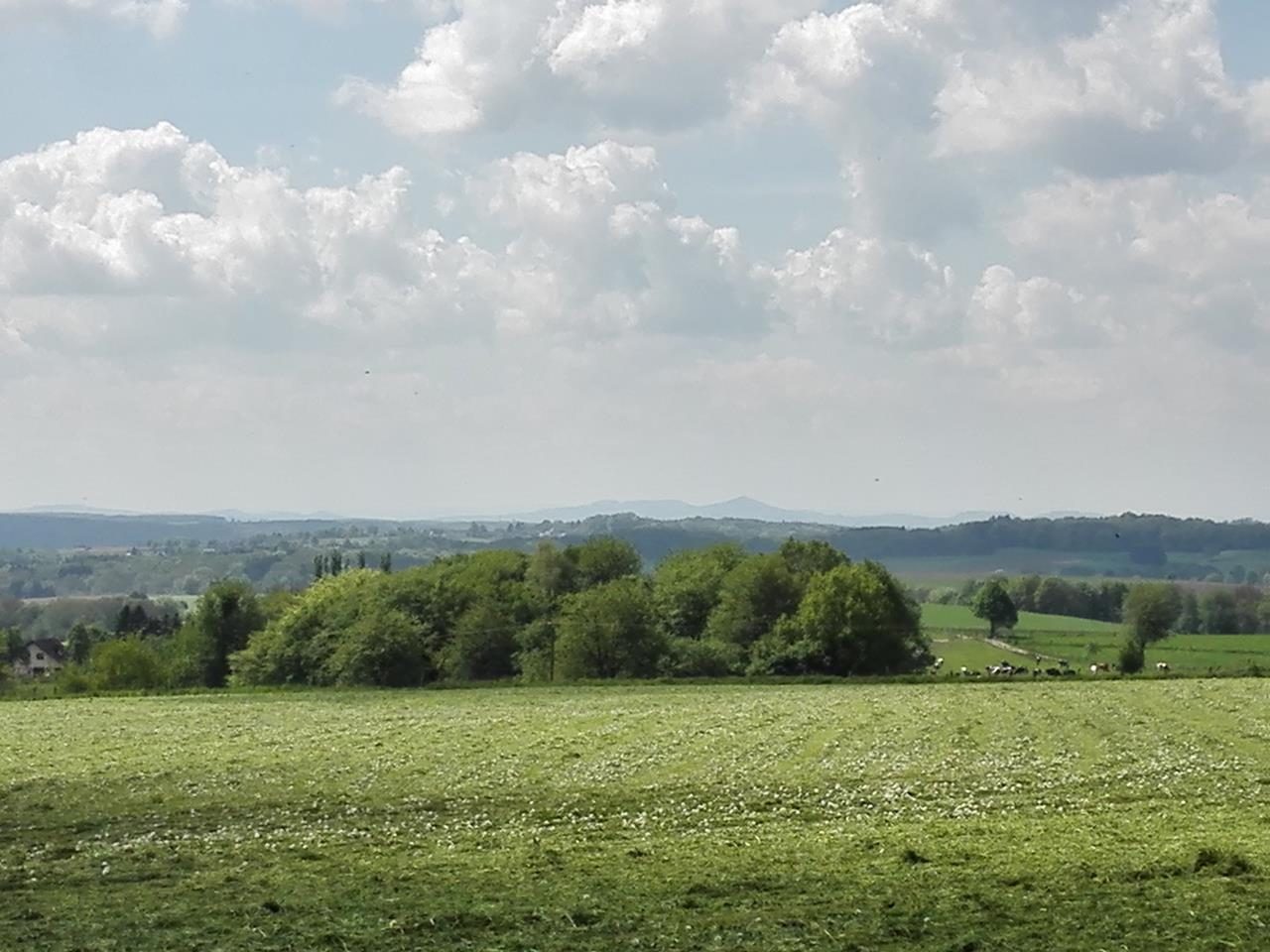 Auf dem Böllweg rund um Much