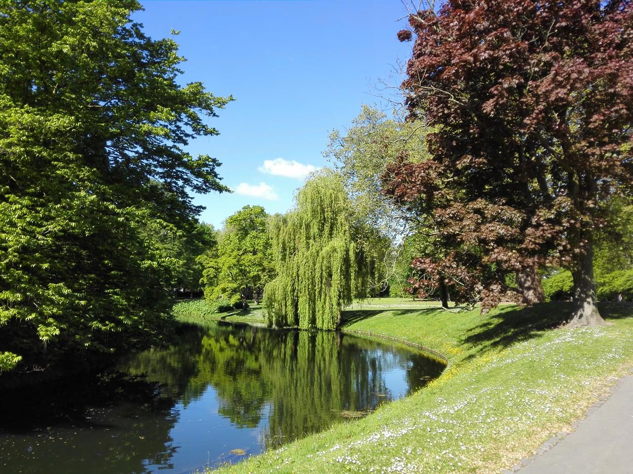 Im Stadtpark von Rotterdam, genannt "Het Park"