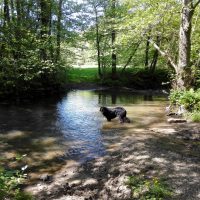 Drei-Bäche-Tour bei Seelscheid