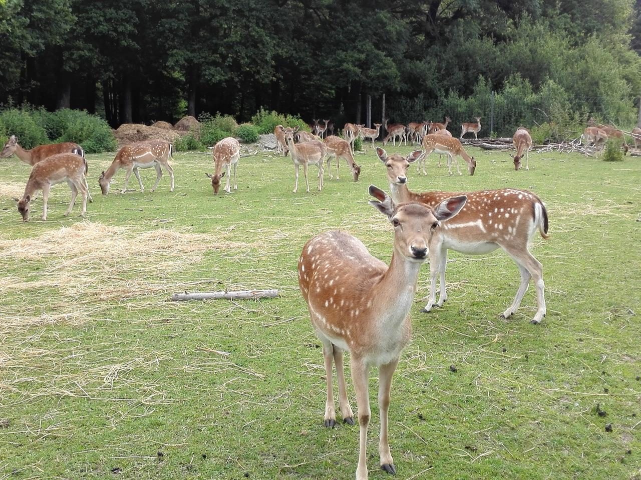 Ohrntal und Mainhardter Wald