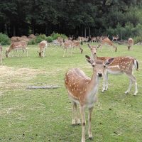 Ohrntal und Mainhardter Wald