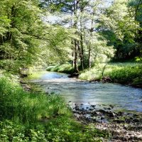 Durch das Tal der Bühler
