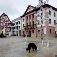 In der Fachwerkstadt Eppingen