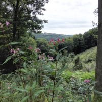 Am Nordwestrand des Bergischen