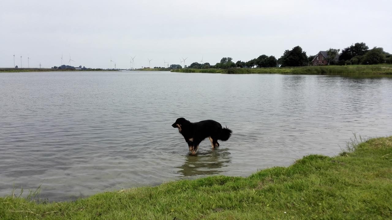 Am Wangermeer