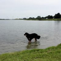 Am Wangermeer