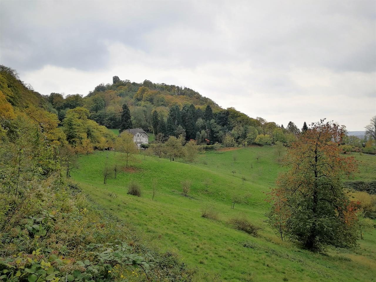 Verborgene Pfade im Siebengebirge