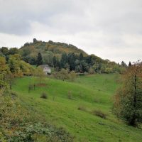 Verborgene Pfade im Siebengebirge