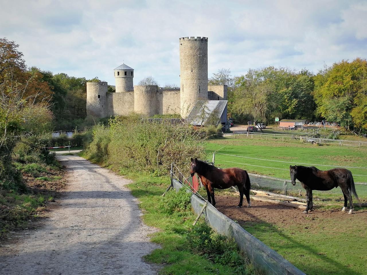 Schevenhütte – Wehebachtalsperre – Laufenburg