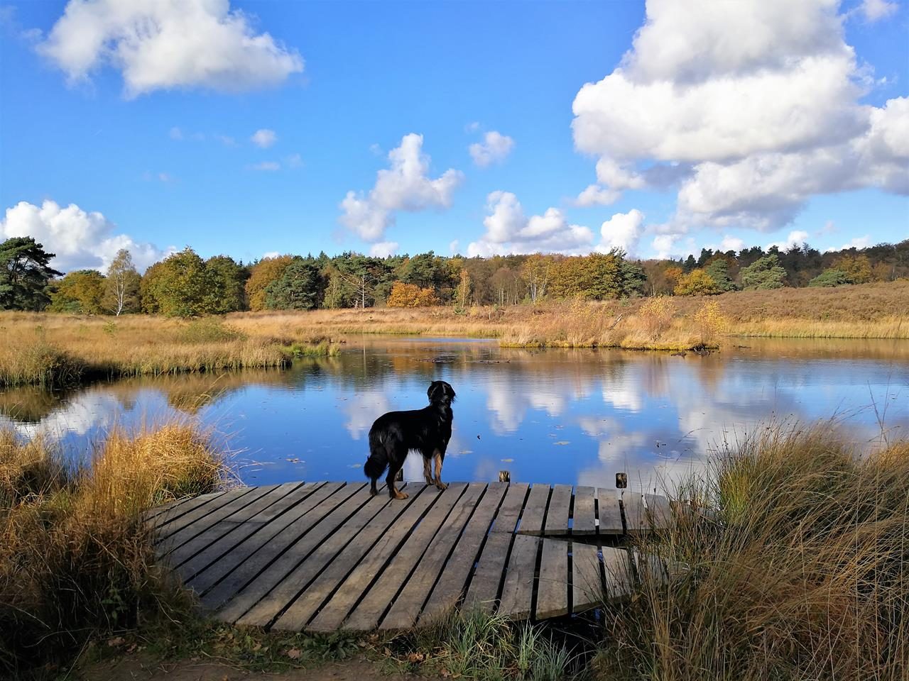 Herbst im Elfenmaar