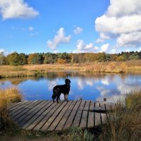 Herbst im Elfenmaar