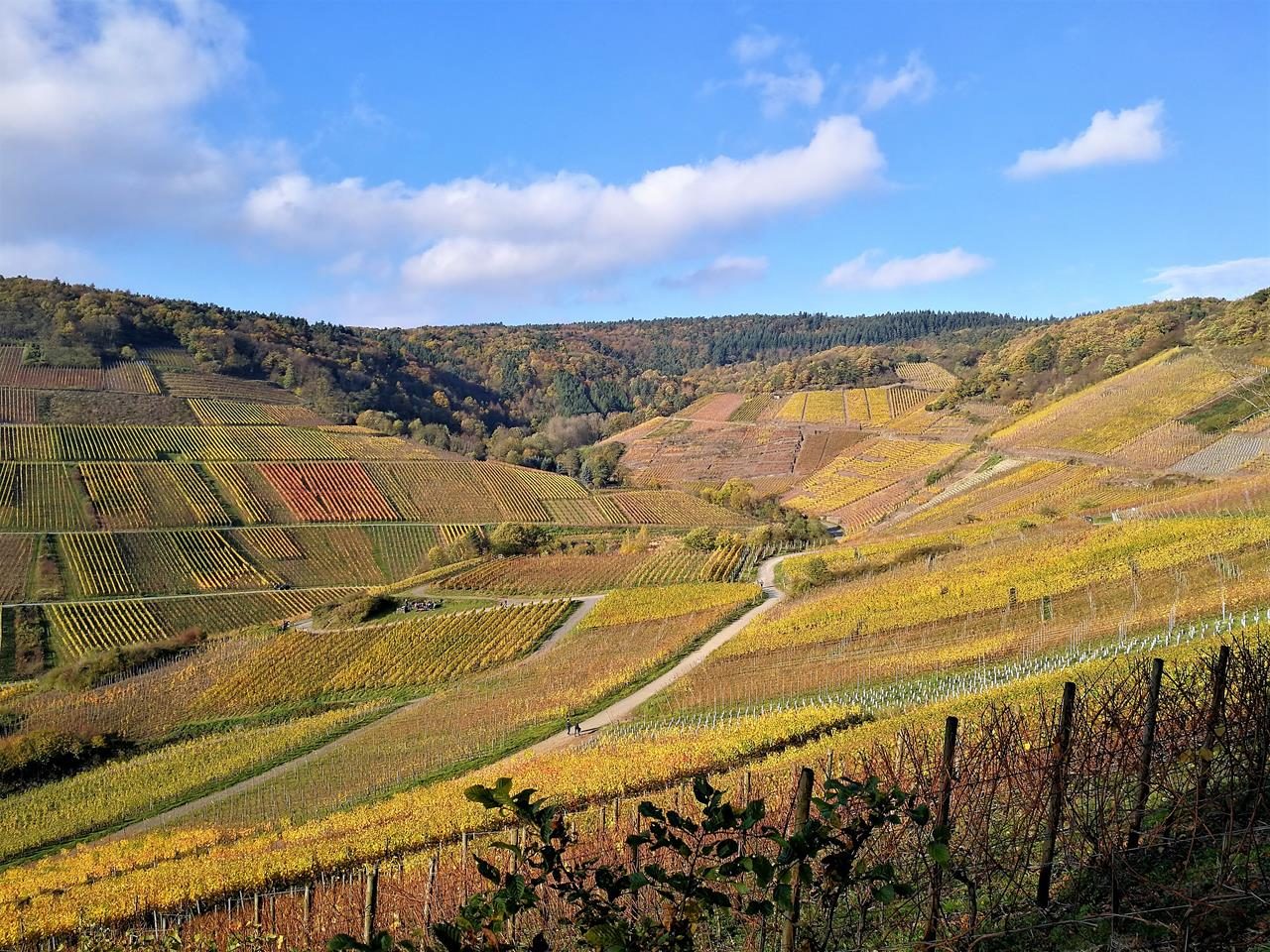 Hinter den Weinbergen von Rech