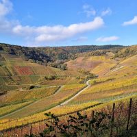 Hinter den Weinbergen von Rech