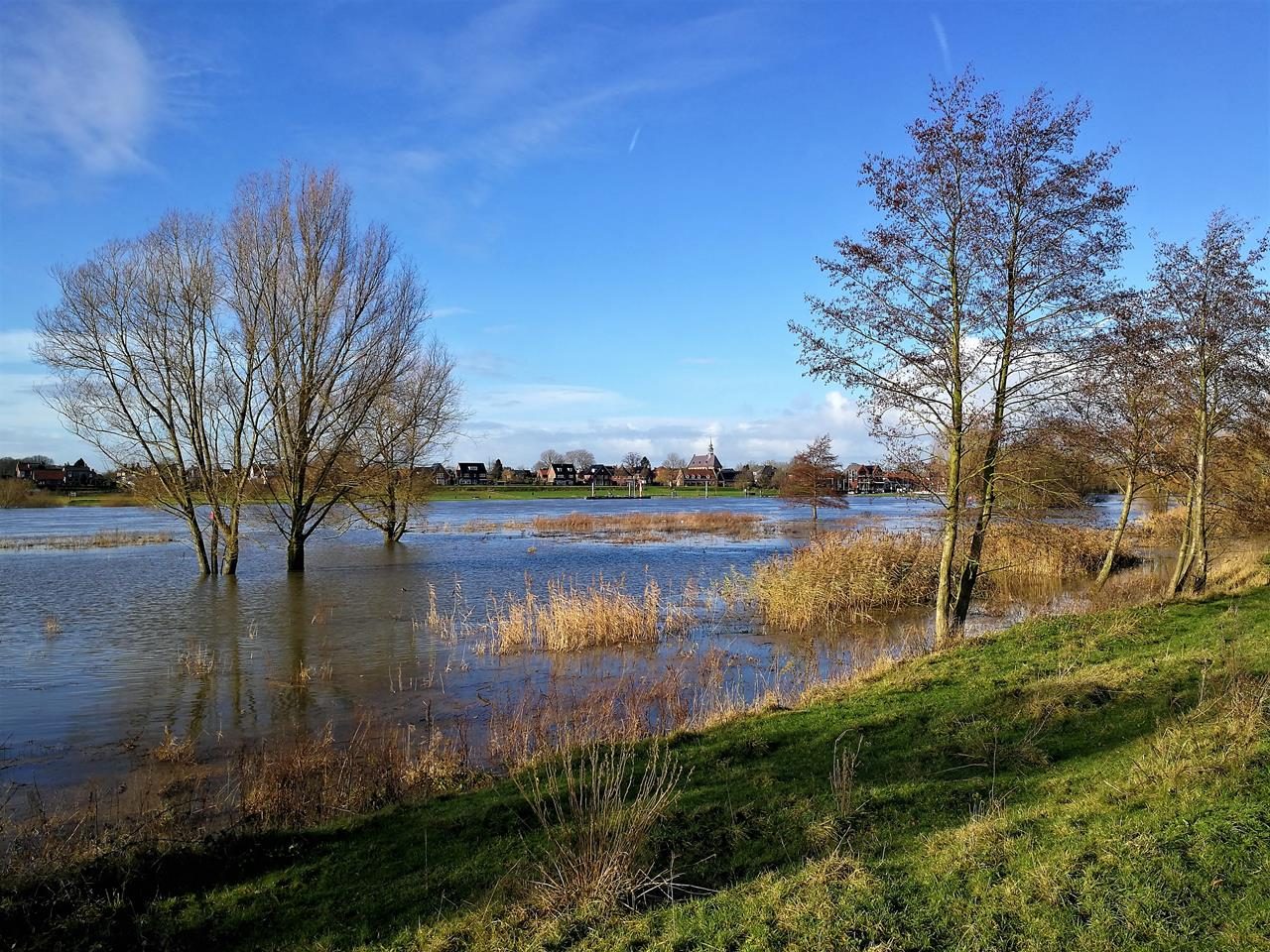 An der Maas bei Arcen