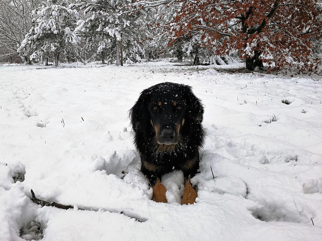 Durch den Schnee von Büttgen nach Neuss